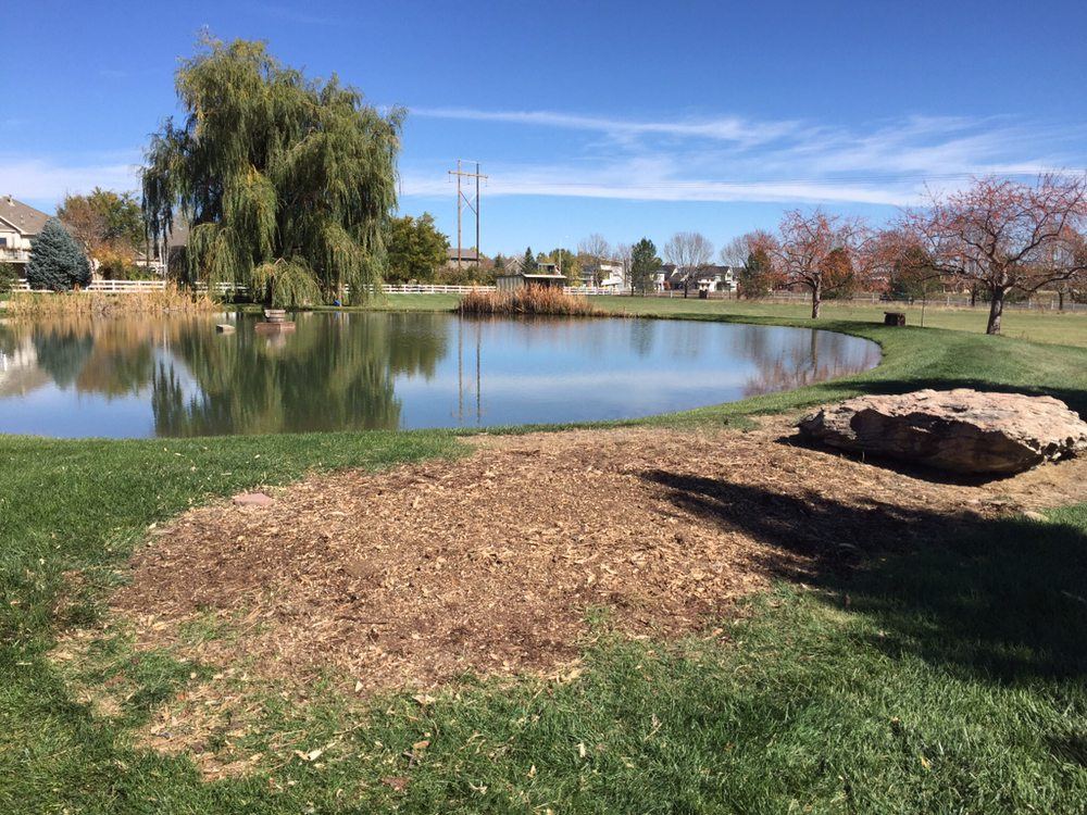 Finished stump site by a pond, filled and mounded with ground soil in a green lawn