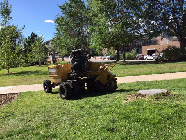 Stump grinder parked on a park lawn beside a sidewalk and a cut stump