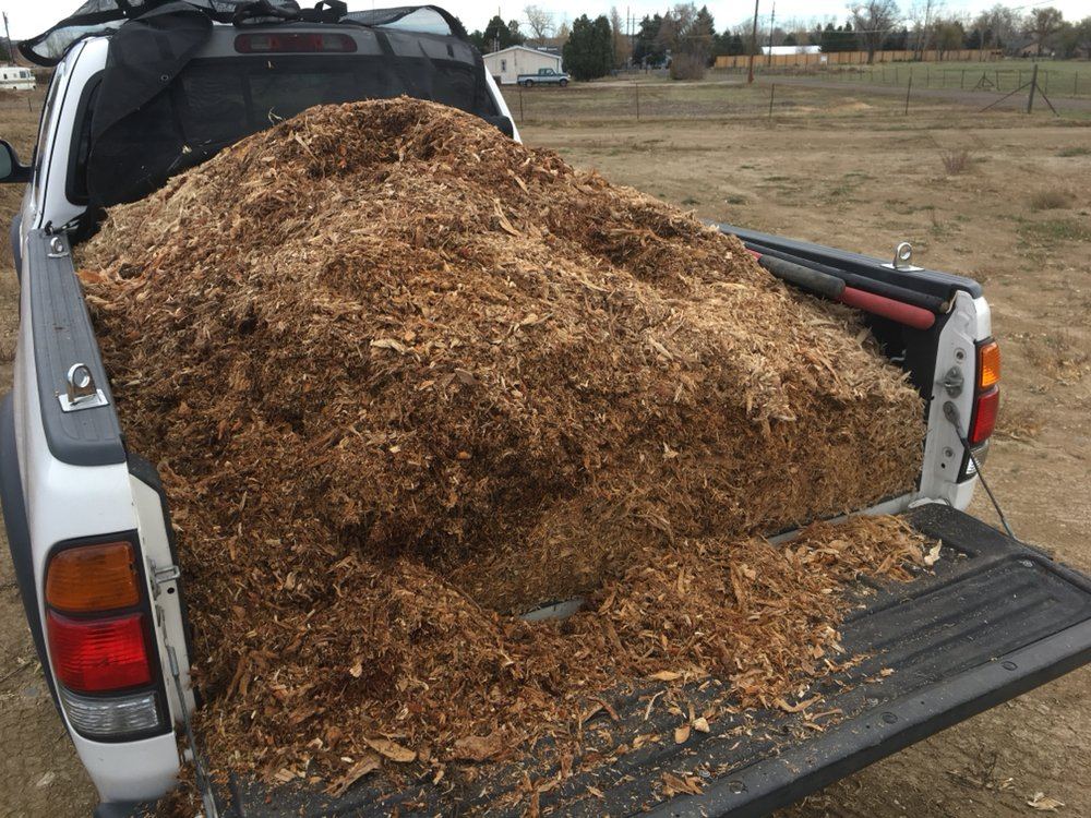 Pickup bed piled high with fresh stump grindings