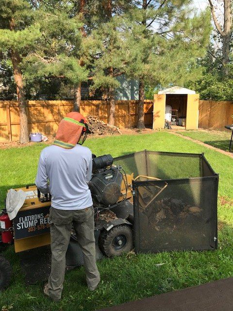 Operator in safety gear running the stump grinder inside a ring of mesh safety screens in a fenced backyard